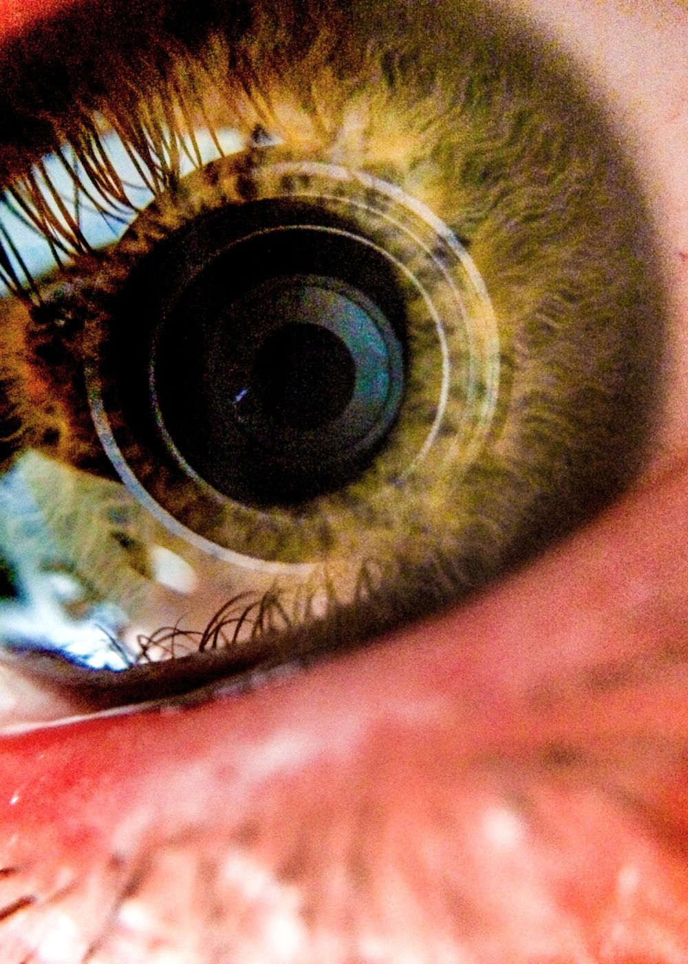 Close up human eye