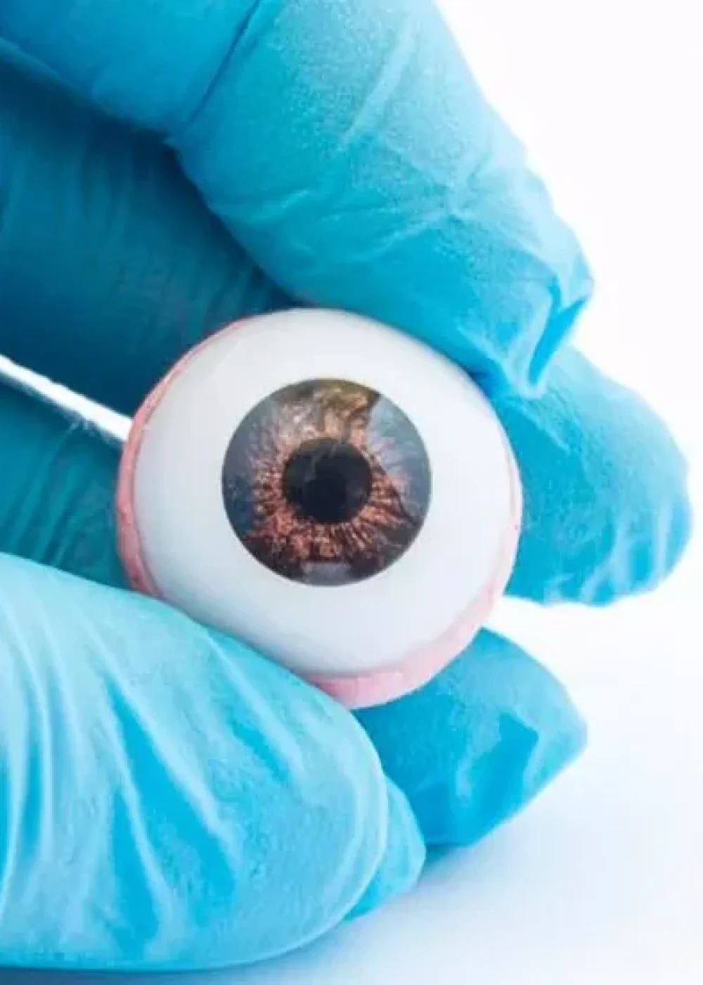 servicos_protese-ocular-1-1080x550.jpg